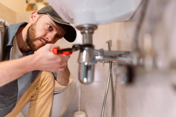 Best Plumbing Services Near Me  in Staples, MN
