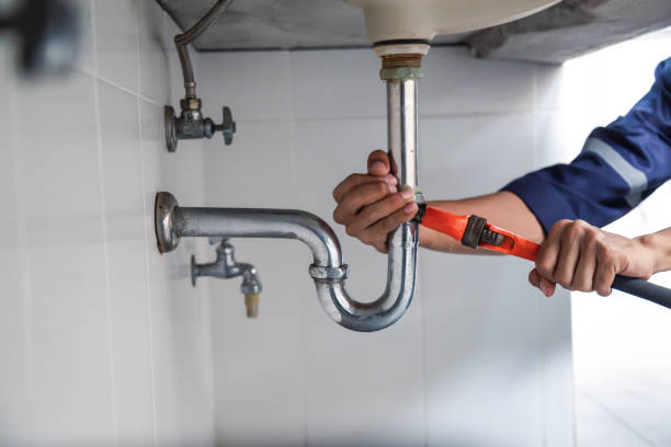 Best Plumbing Inspection Services  in Staples, MN
