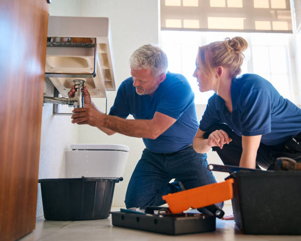Best Affordable Plumbing Services  in Staples, MN
